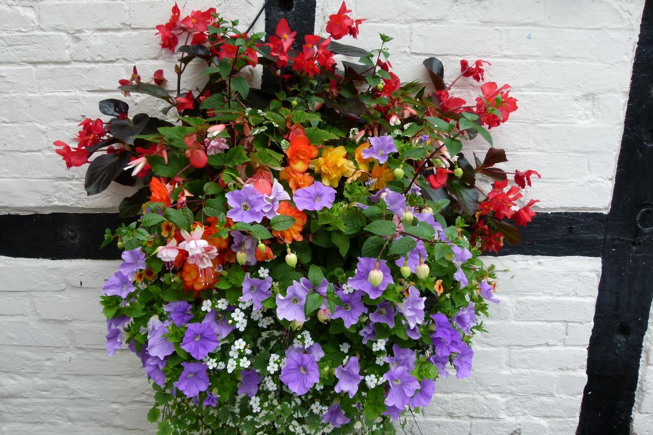 The Talbot Hotel Ledbury
